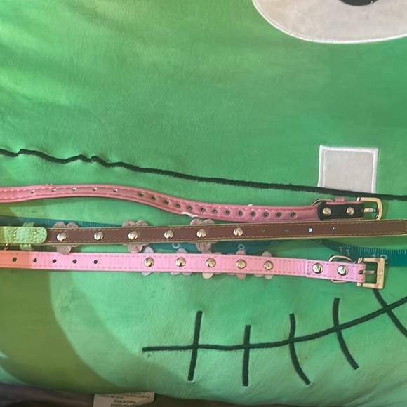 Dog collar lot - Picture 6 of 7